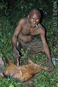 Pygmy hunter with rain forest game
