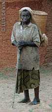 Pygmy woman with a pannier coming back from the gathering in the rainforest
