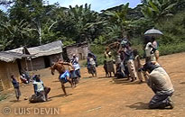 Video recording of Pygmy dances in the African rainforest