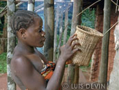 Pygmy basket