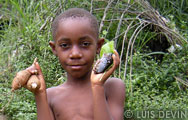 Pygmy child with wild tubers and a crab