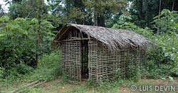 Bagyeli Pygmies house
