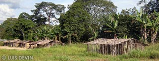 Huts of the Bakoya Pygmies and Bakota