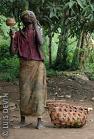 Elderly Pygmy with rattle and pipe