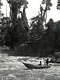 African pirogue (Cameroon)