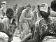 Group dances (Bakoya Pygmies and Bakota, Gabon)