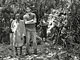 Temporary camp (Baka Pygmies, Cameroon)