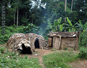 Baka Pygmy village