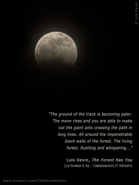 African moon, from Luis Devin's anthropological research in Central Africa (Gabon)