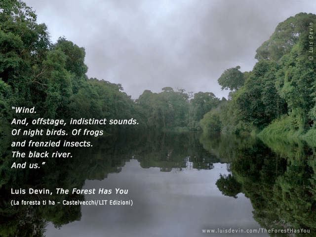 The black river, from Luis Devin's anthropological research in Central Africa (Cameroon)