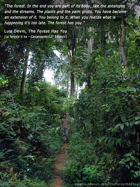 Rainforest path, from Luis Devin's anthropological research in Central Africa (Baka Pygmies, Cameroon)