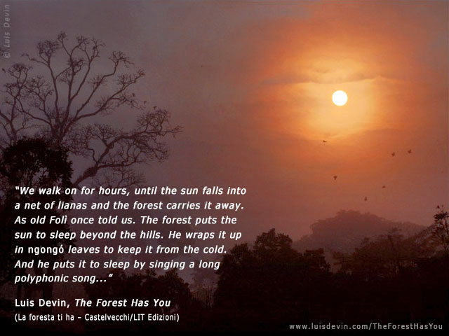 African sunset, from Luis Devin's anthropological research in Central Africa (Cameroon)
