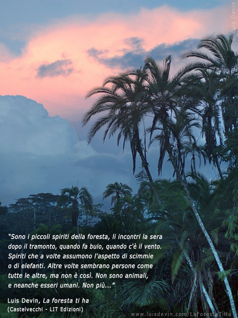 Rain forest sunset, from Luis Devin's anthropological research in Central Africa (Cameroon)