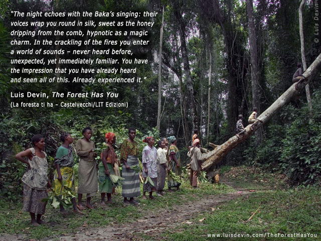 Polyphonic songs, from Luis Devin's anthropological research in Central Africa (Baka Pygmies, Gabon)