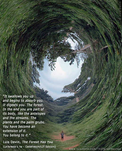 The forest swallows you, from Luis Devin's anthropological research in Central Africa (Baka Pygmies, Cameroon)