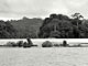 Video shooting along a river (Gabon)