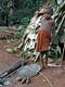 Giant snails (Baka Pygmies, Cameroon)
