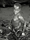 Dam fishing (Baka Pygmies, Cameroon)
