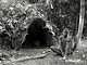 Leave hut (Baka Pygmies, Cameroon)