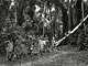 Polyphonic songs (Baka Pygmies, Gabon)