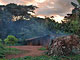 Pygmy camp (Baka Pygmies, Cameroon)