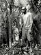 Giant tree (Baka Pygmies, Gabon)