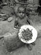 Caterpillar gathering (Baka Pygmies, Gabon)